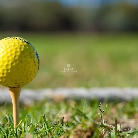 Blue Balaia Space - By Dalma Portuguesa Apartment *